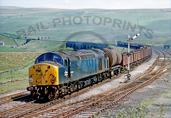 40003-Y-Garsdale-250578-DC891R