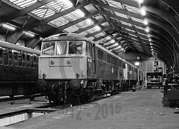 86256-Y-Longsight-260378-JC1