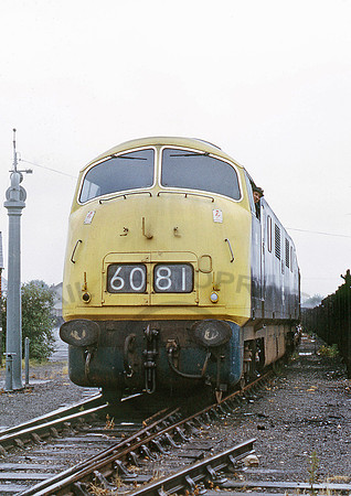 818-Y-Salisbury-0772-RPC299