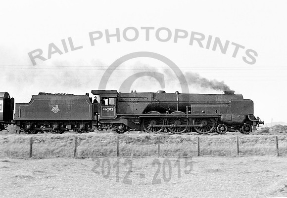 46202-Y-1949-RAW159