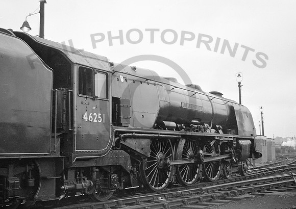 46251-Y-Derby-300863-RPC781