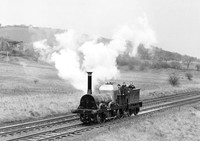 Lion-Parbold-240380-HB991