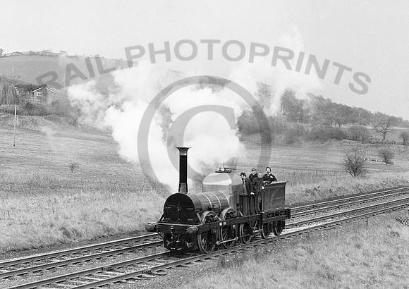 Lion-Parbold-240380-HB991
