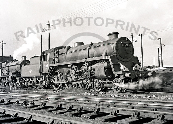 75005-Old-Oak-common-1062-GEcollection