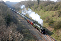 70013-Y-FoxsWood-030409-RP8474
