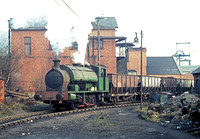 HC1885 Mountain Ash 0473 JC885