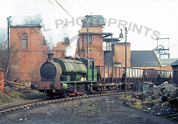 HC1885 Mountain Ash 0473 JC885