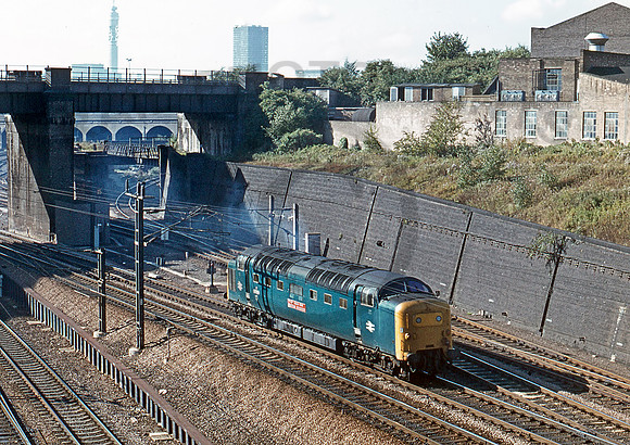 55010-Y-BelleIsle-220979-PB811