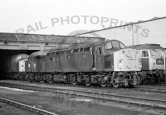 40055-Y-SpringsBranch-311074-RPC734