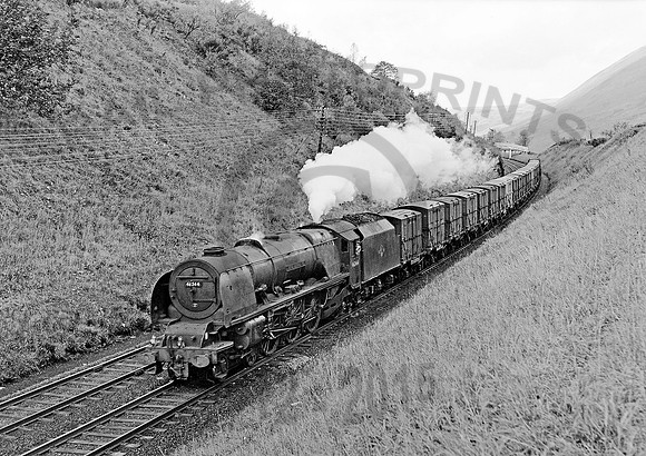 46244 Greskine 091063 HB532