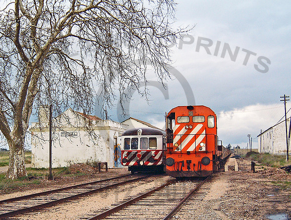 CP 1561 Tojal 070203 JC0814