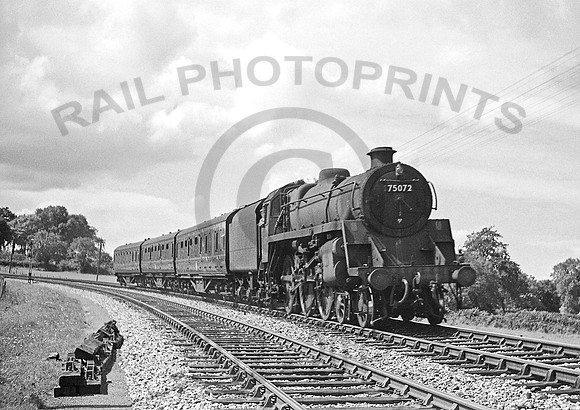 75072-Y-WykeChampflower-0762-RPC803