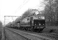 26005-Y-BeeleyWoods-230455-RPC580