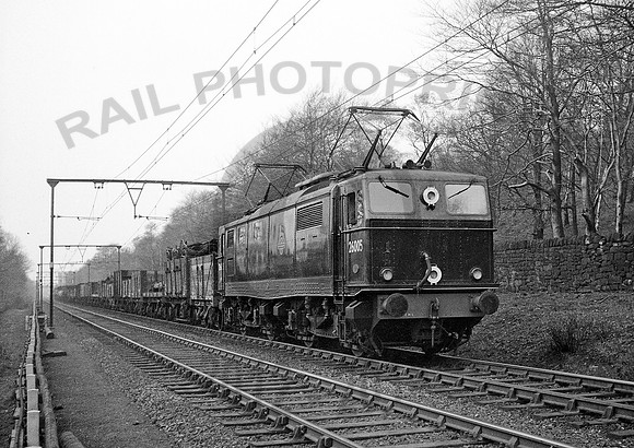 26005-Y-BeeleyWoods-230455-RPC580