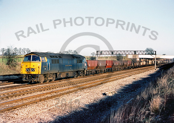 1010-Y-Waltham-241275-DCC131