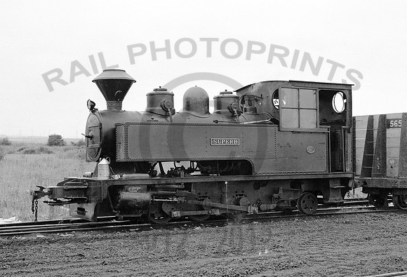 Superb  041069 HBGG272-1
