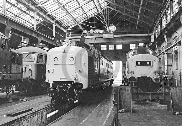 55005-Y-Doncaster-050879-HB891