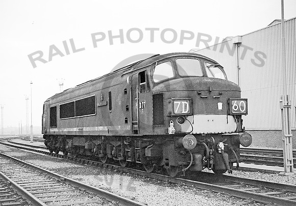 D77-Toton-110965-RPC026