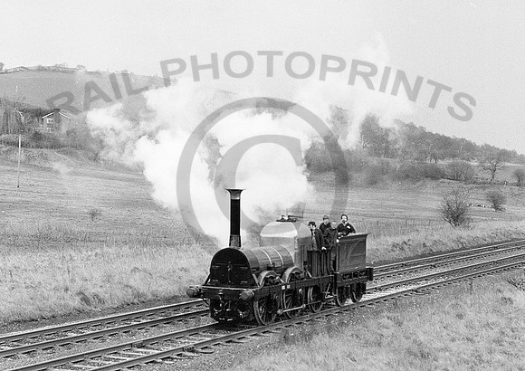 Lion-Parbold-240380-HB991