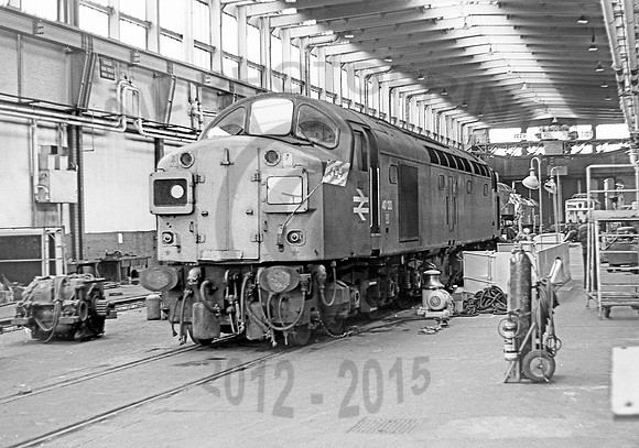 40133-Reddish-230778-JC453