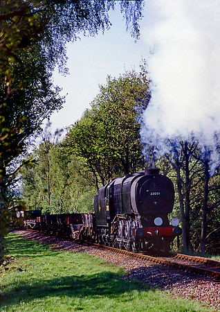 33001  3 Arch Bridgfe, Bluebell 070500 BR317