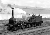 Lion-Burscough-240380-HB897