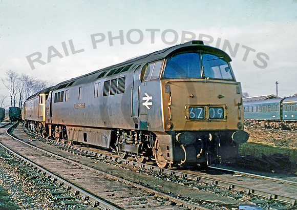 1072-Y-Westbury-230274-DCC010