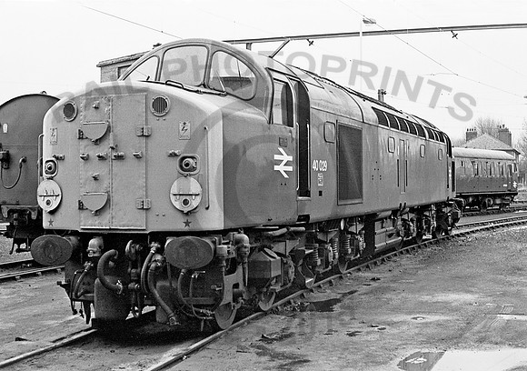 40029-Y-Reddish-260378-JC