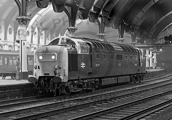55003-Y-York-260180-JC632