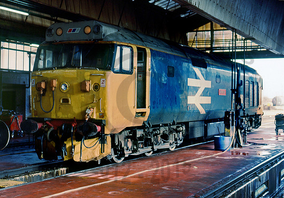 50036 Old oak Common 030390 BR476