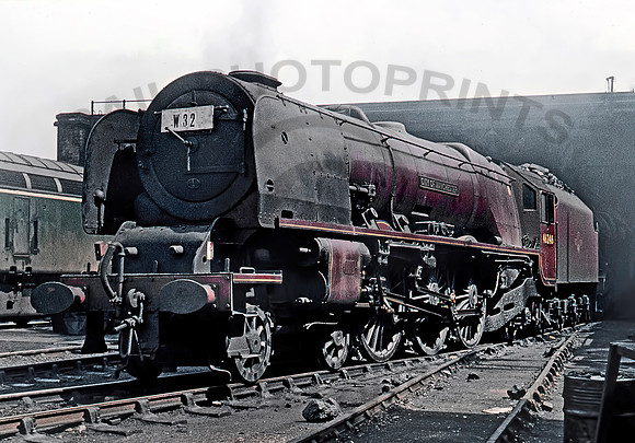 46246-Y-Camden-0660-IT162