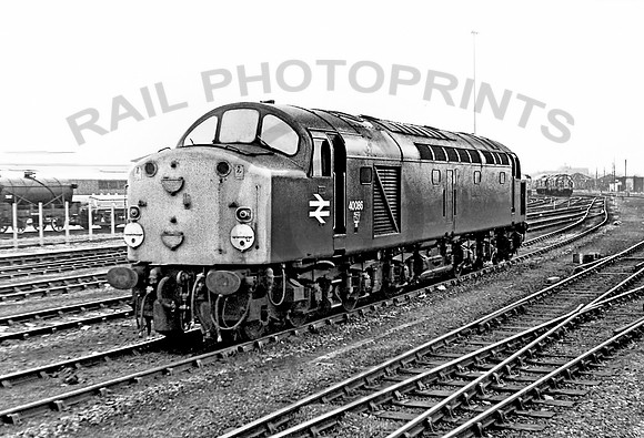 40086-York-021277-JC
