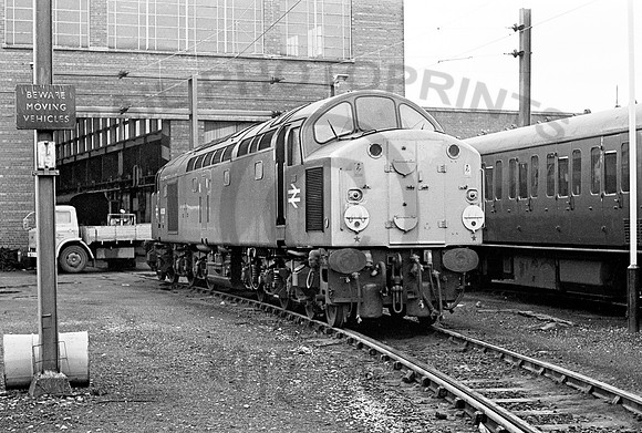 40029-Reddish-260378-JC2
