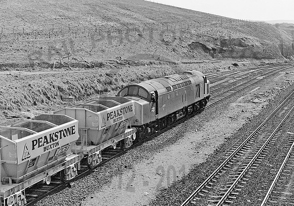 40155-Y-PeakForest-230382-031281-JC569
