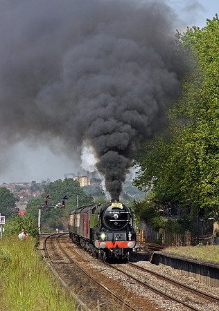 60163-Y-Bedminster-300509-RP9223