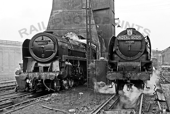 70032 Camden 1959 JDC233R