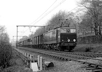 26006-BeeleyWoods-230455-RPC581