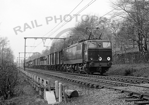26006-BeeleyWoods-230455-RPC581