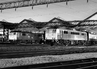 86101-Y-Longsight-1976-RPC785