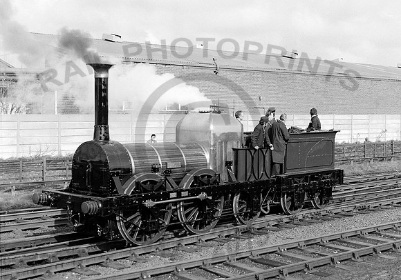 Lion-Burscough-240380-HB897