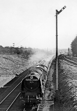 46253 Birdswood 250356 RW907