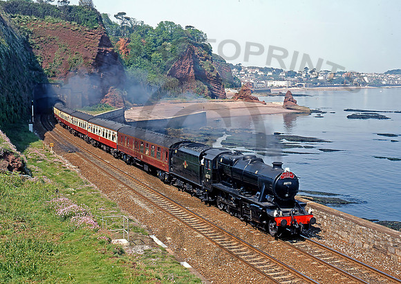 48773-HorseCove-150598-JC264