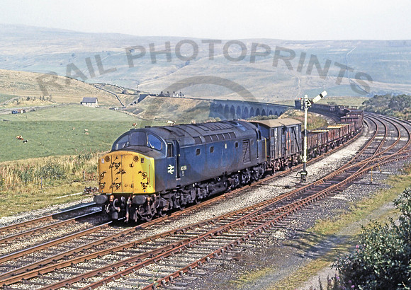 40058-DandryMire-100981-JC159