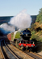 4771-Y-Dent-300989-CW853