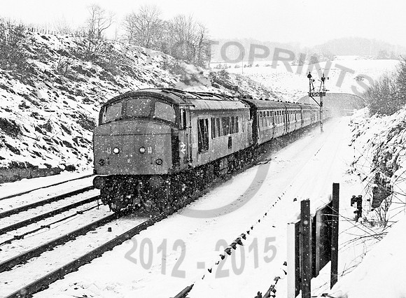 46056-Whitebal-180278-JC