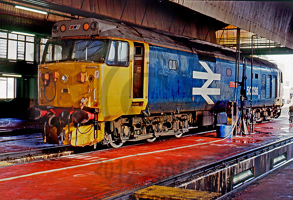 50036-Y-OldOakCommon-030390-BR167