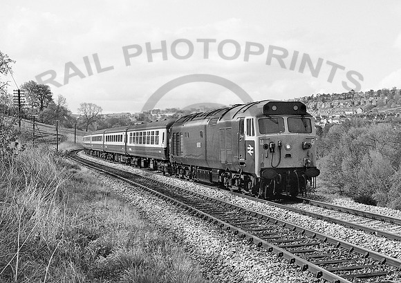 50013-Stroud-150583-JC245