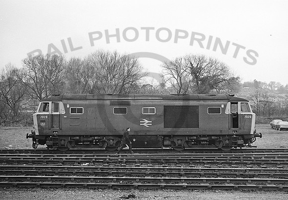 7029-Exeter-200273-DM090