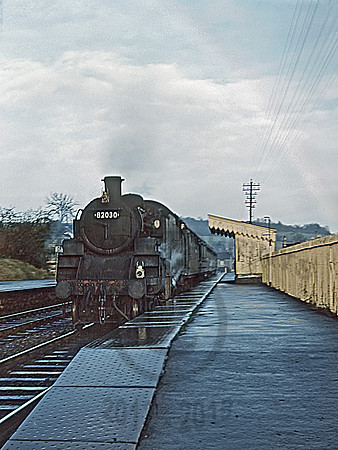 82030-Y-Wellow-081265-RPc749