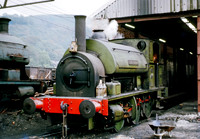 AE1680  Mountain Ash 1272 RPC117